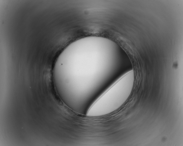 X0000103250612200808281058