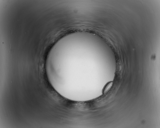 X0000103250615200808281058