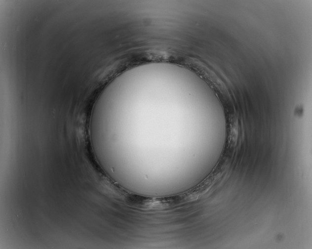 X0000103250616200808281058