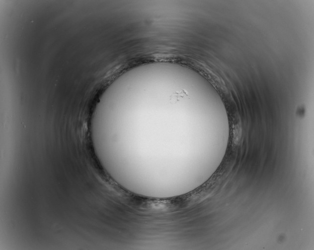 X0000103250618200808281058