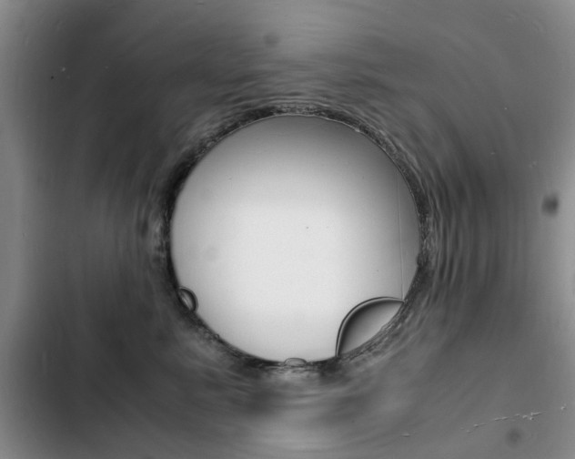 X0000103250619200808281058