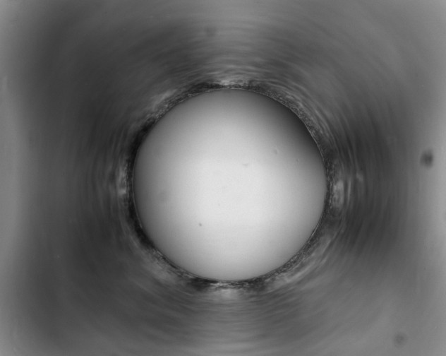 X0000103250620200808281058
