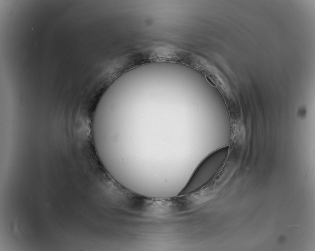 X0000103250621200808281058