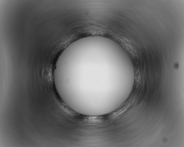 X0000103250622200808281058