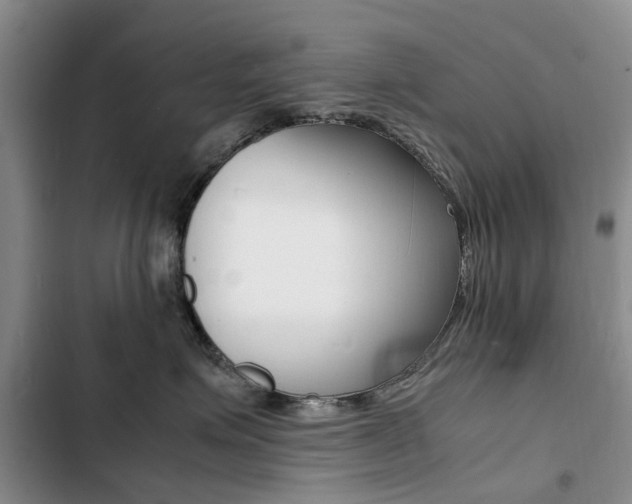 X0000103250623200808281058
