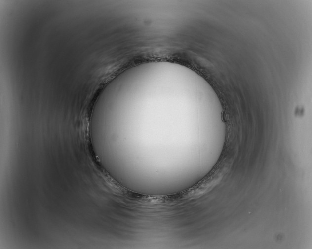 X0000103250624200808281058