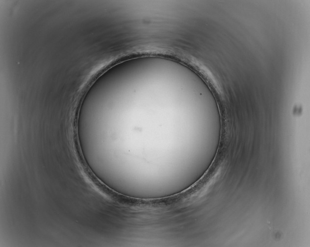 X0000103250625200808281057