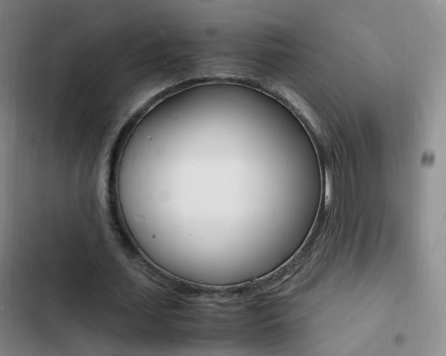 X0000103250627200808281057