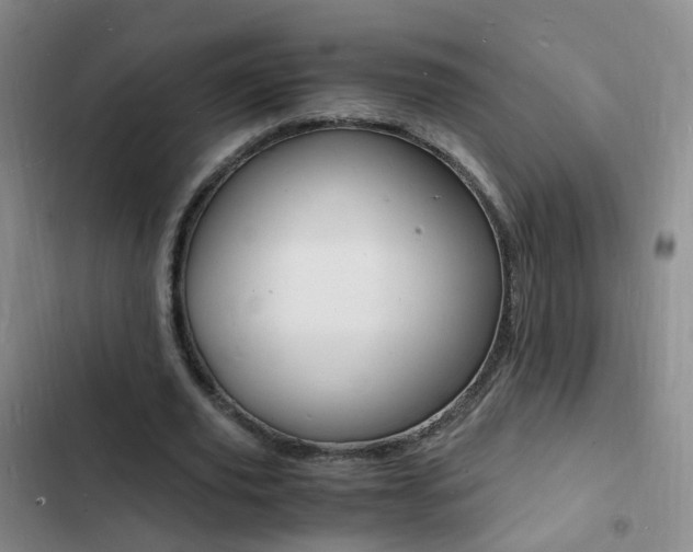X0000103250629200808281057