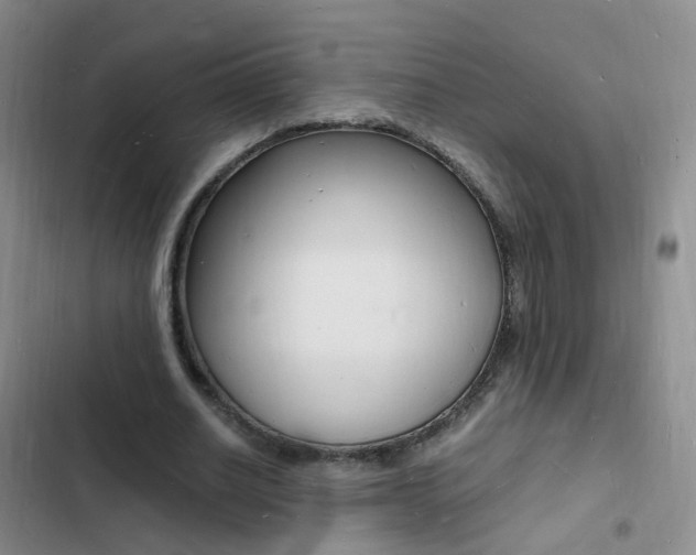 X0000103250630200808281057