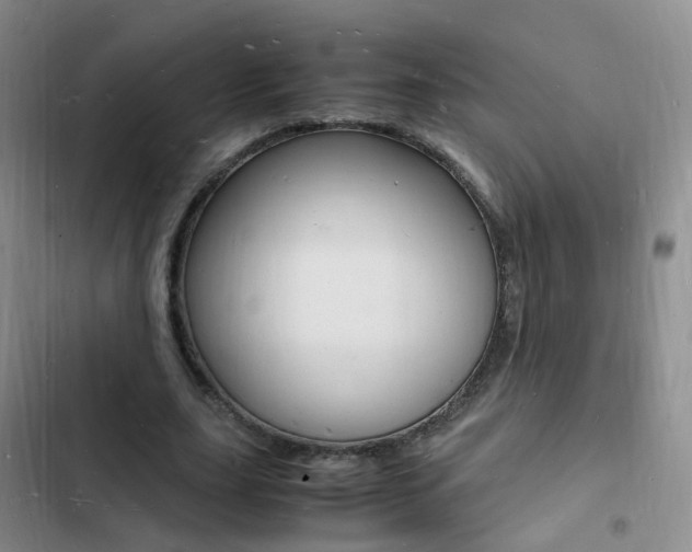 X0000103250631200808281057