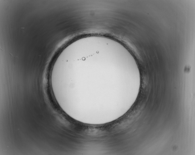 X0000103250632200808281057