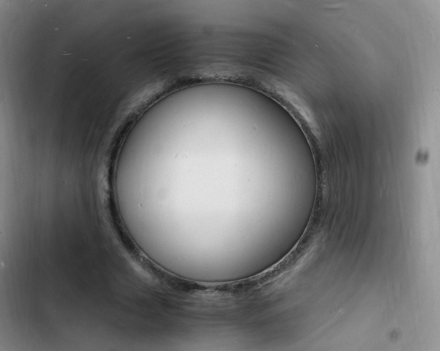 X0000103250633200808281057