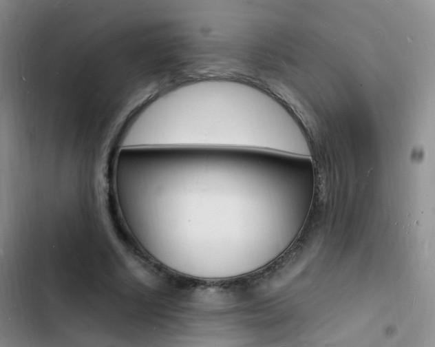 X0000103250634200808281057