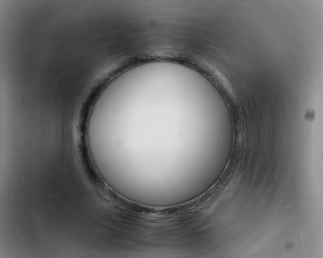 X0000103250635200808281057