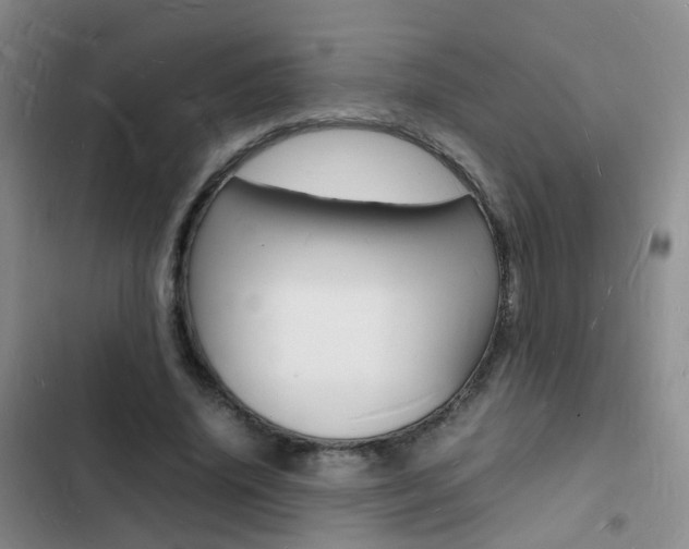 X0000103250636200808281057