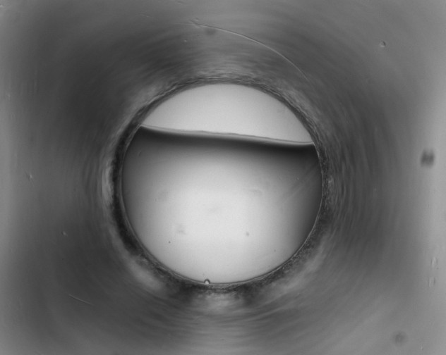 X0000103250638200808281057