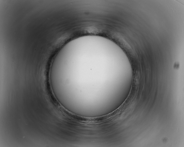 X0000103250639200808281057
