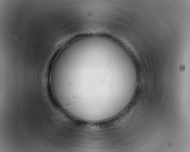 X0000103250640200808281057
