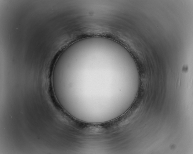 X0000103250642200808281057