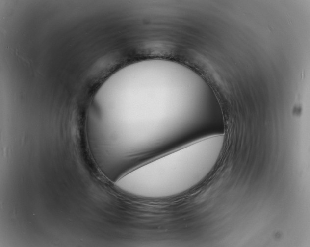 X0000103250643200808281057