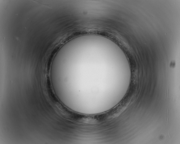 X0000103250644200808281057