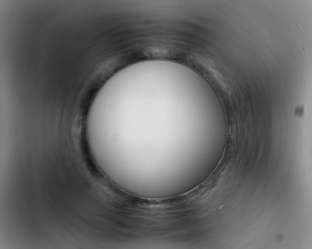 X0000103250645200808281057