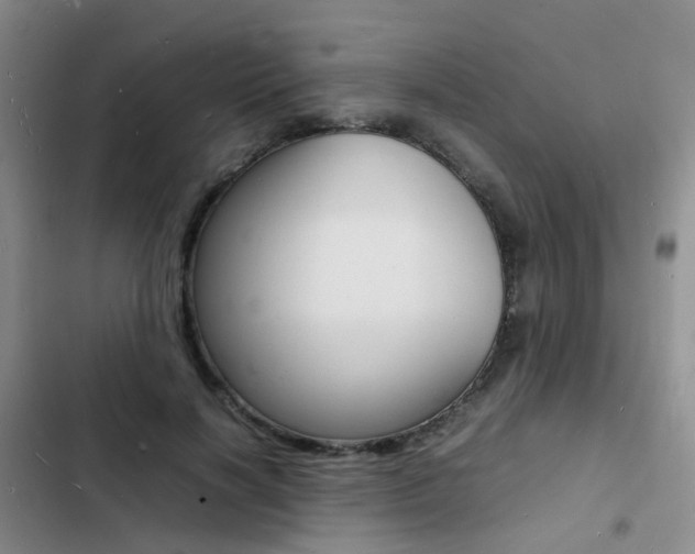 X0000103250646200808281057