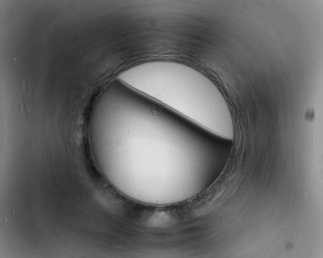 X0000103250647200808281057