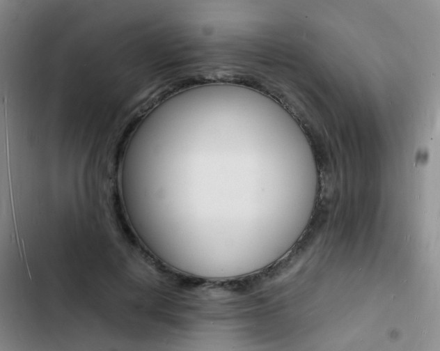 X0000103250648200808281057