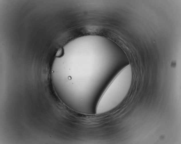 X0000103250651200808281057