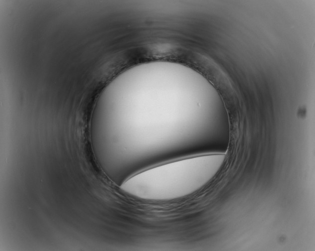 X0000103250653200808281057