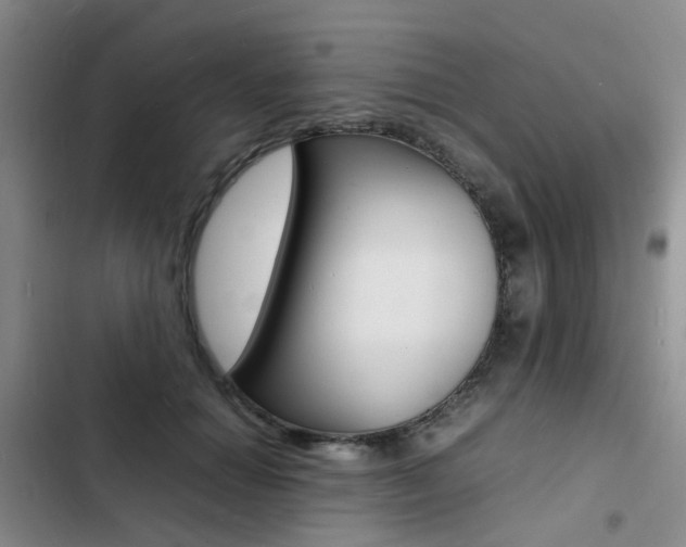 X0000103250654200808281057