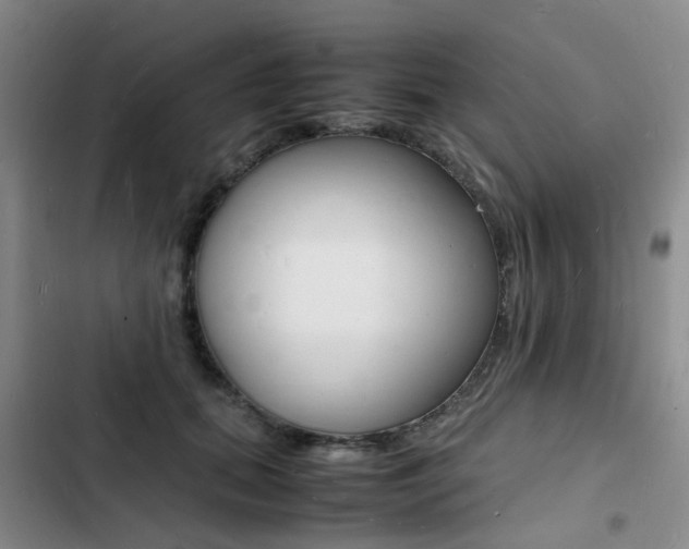 X0000103250655200808281057