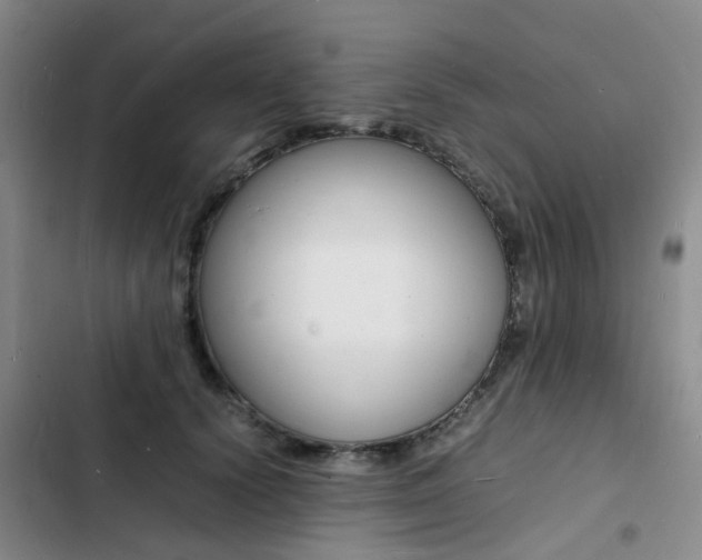 X0000103250656200808281057
