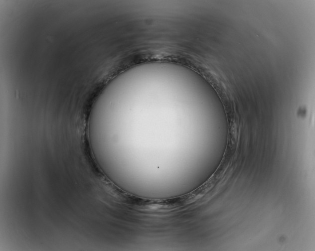 X0000103250657200808281057