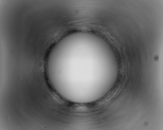 X0000103250658200808281057
