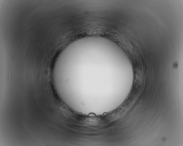 X0000103250659200808281057