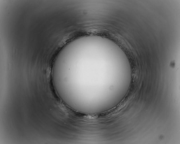 X0000103250660200808281057