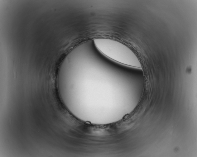 X0000103250661200808281057