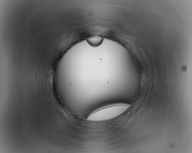 X0000103250664200808281057