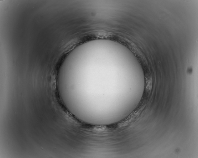 X0000103250666200808281058