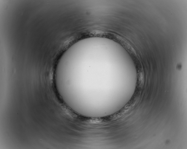 X0000103250668200808281058