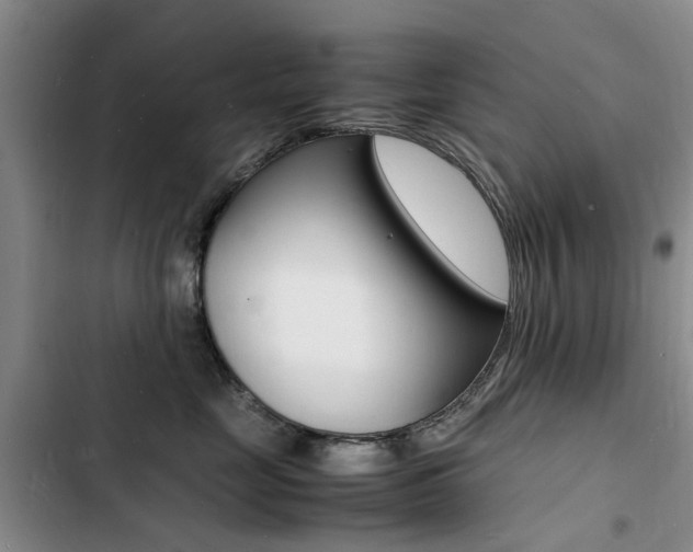 X0000103250669200808281058