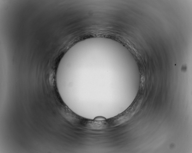 X0000103250671200808281058