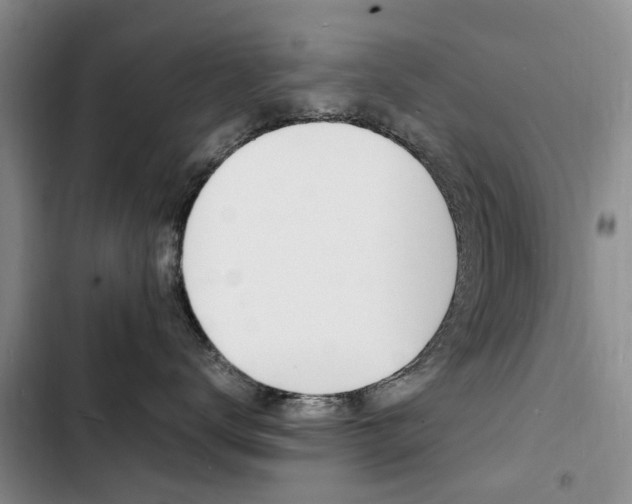 X0000103250672200808281058
