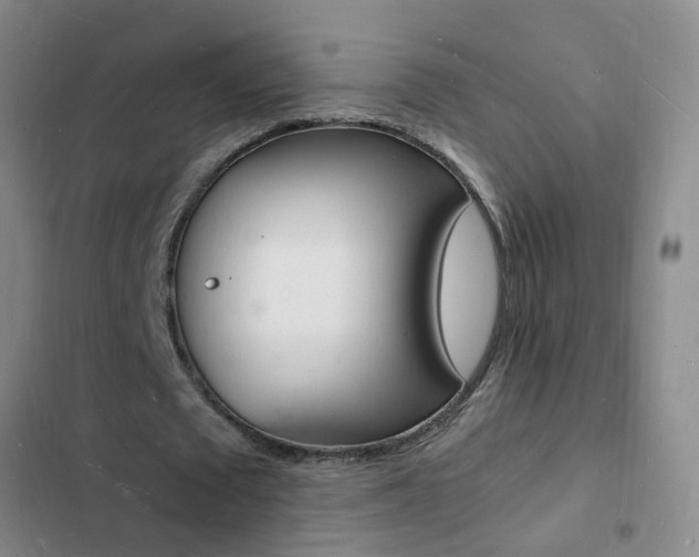 X0000103250673200808281057