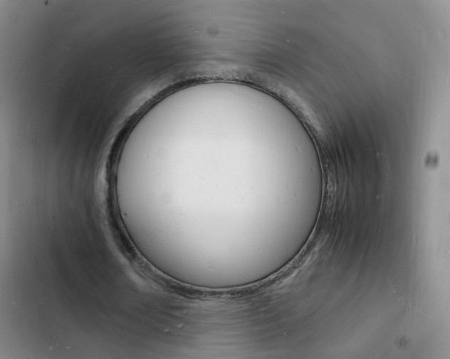 X0000103250674200808281057