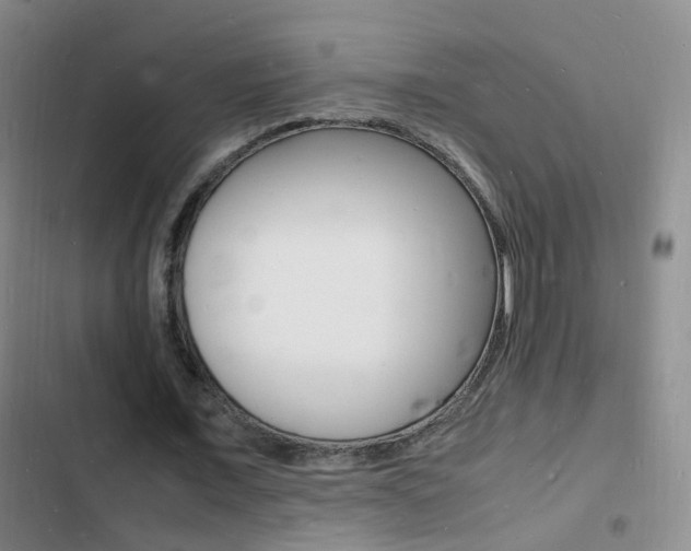 X0000103250675200808281057