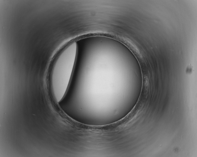 X0000103250676200808281057